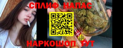 ПСИЛОЦИБИНОВЫЕ ГРИБЫ Краснодар