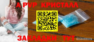 ПСИЛОЦИБИНОВЫЕ ГРИБЫ Краснодар