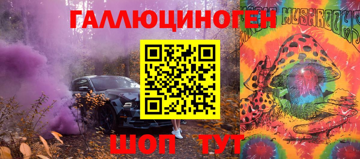 Кольчугино  Псилоцибиновые грибы GOLDEN TEACHER  Галлюциногенные грибы GOLDEN TEACHER  Вход с VPN 