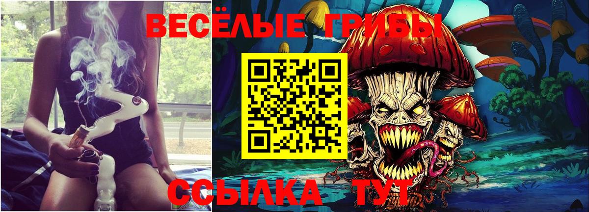 Псилоцибиновые грибы Cubensis Кольчугино