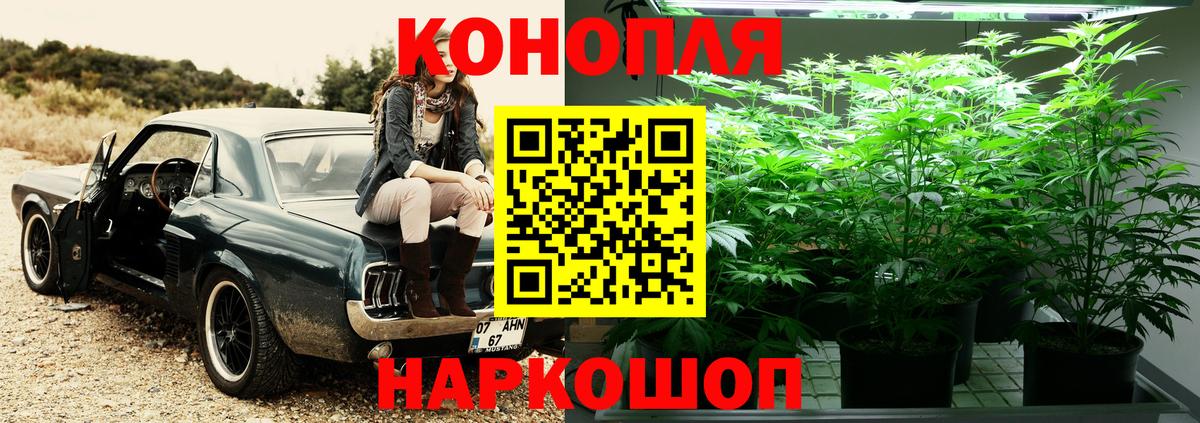 Шишки марихуана план Кольчугино